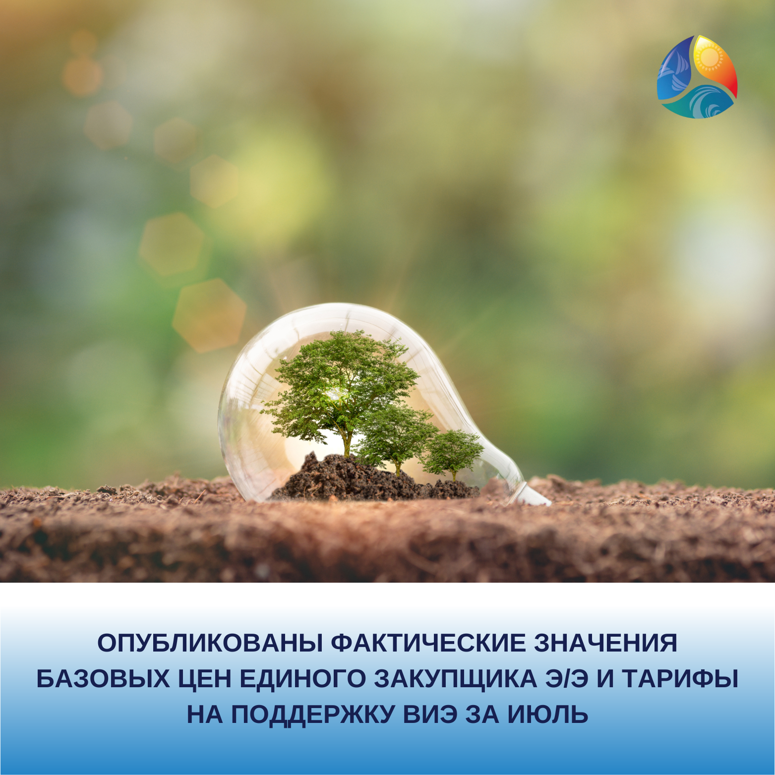 Image photo